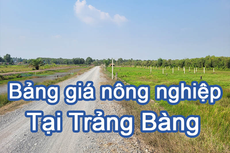 Bảng giá đất nông nghiệp tại Trảng Bàng -Tây Ninh
